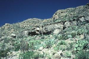 Chihuahuan Desert image gallery