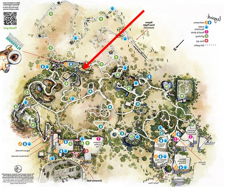 Museum map showing location of Greater Roadrunner