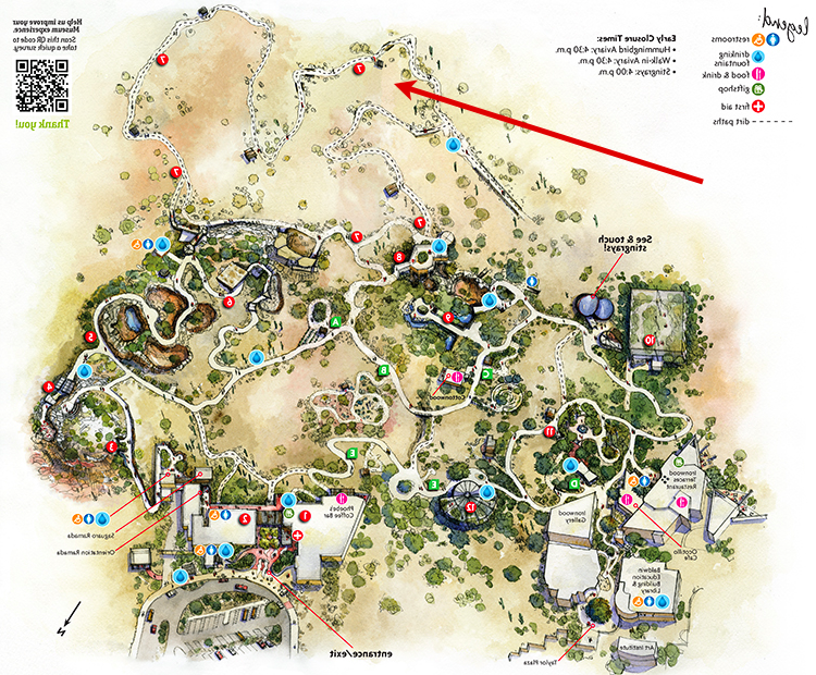 Museum map showing location of 一种野猪)