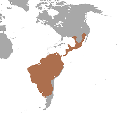 Range Map for Javelina