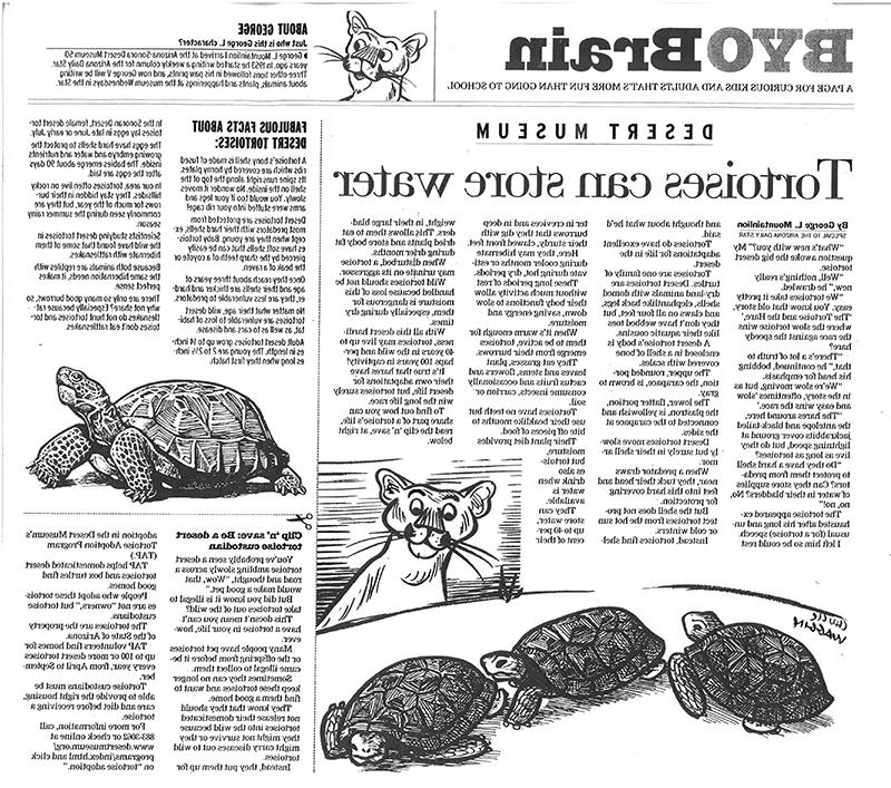 Tortoises article